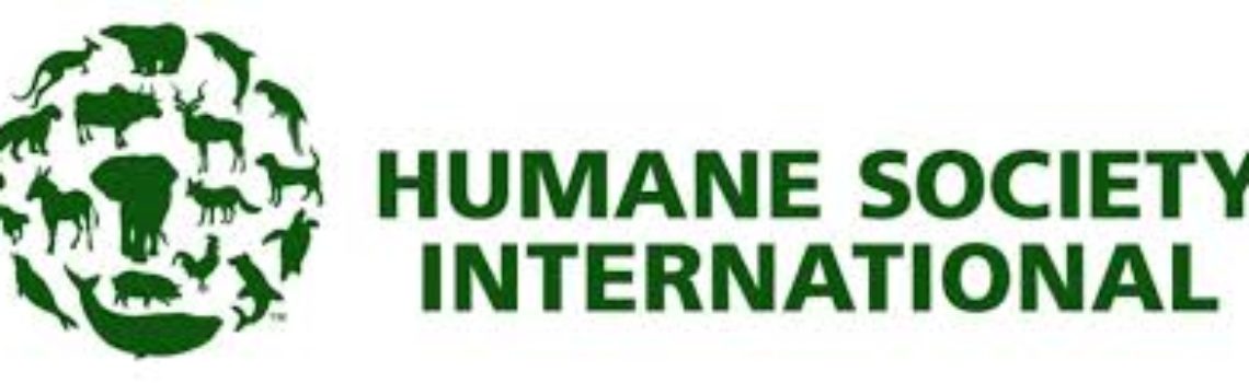 The Humane Society International: October-December Charity!